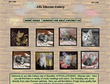 Tablet Screenshot of alfa-siberian-cattery.com